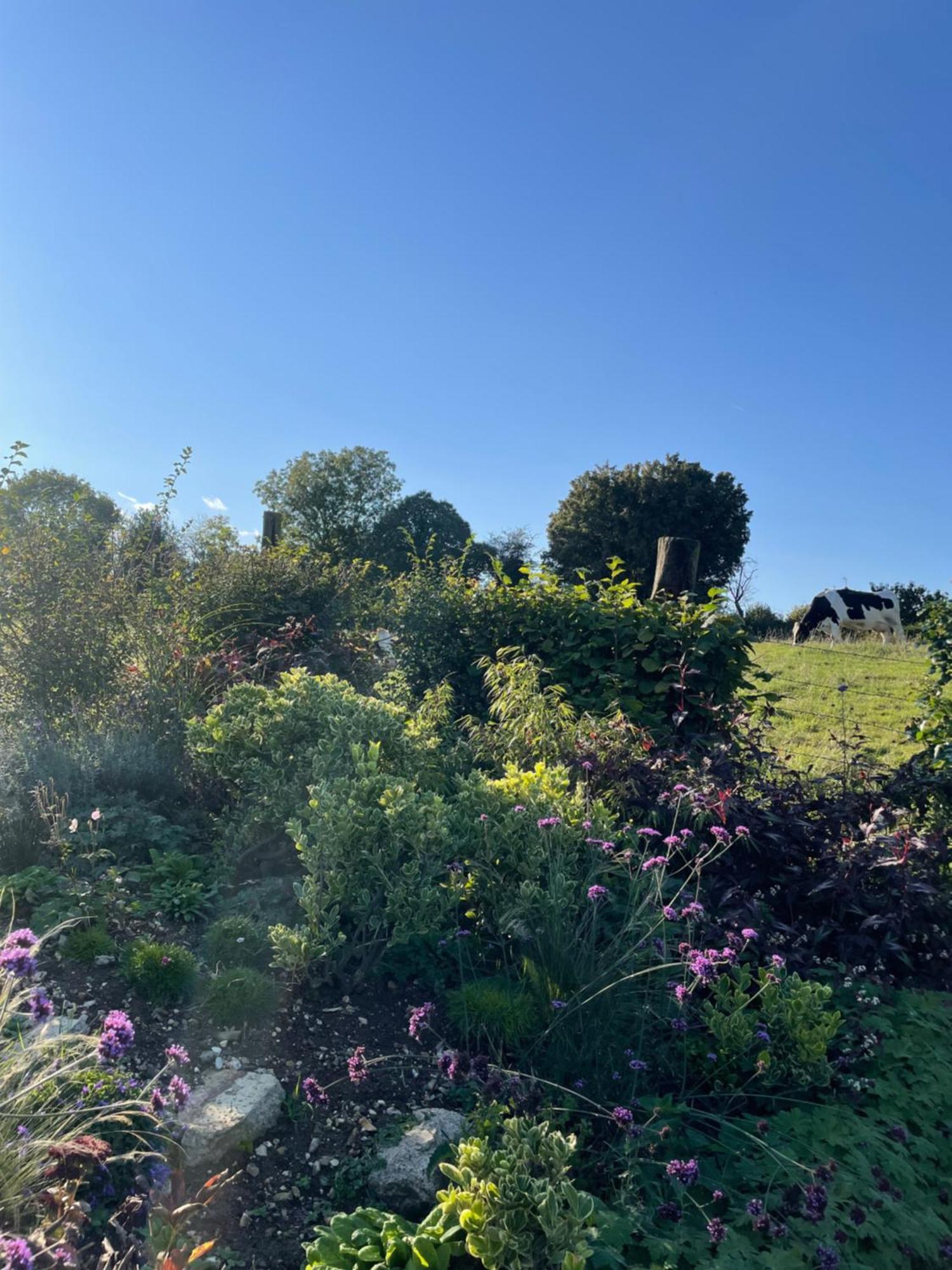 Les Charmes De Villers Huchenneville Zewnętrze zdjęcie